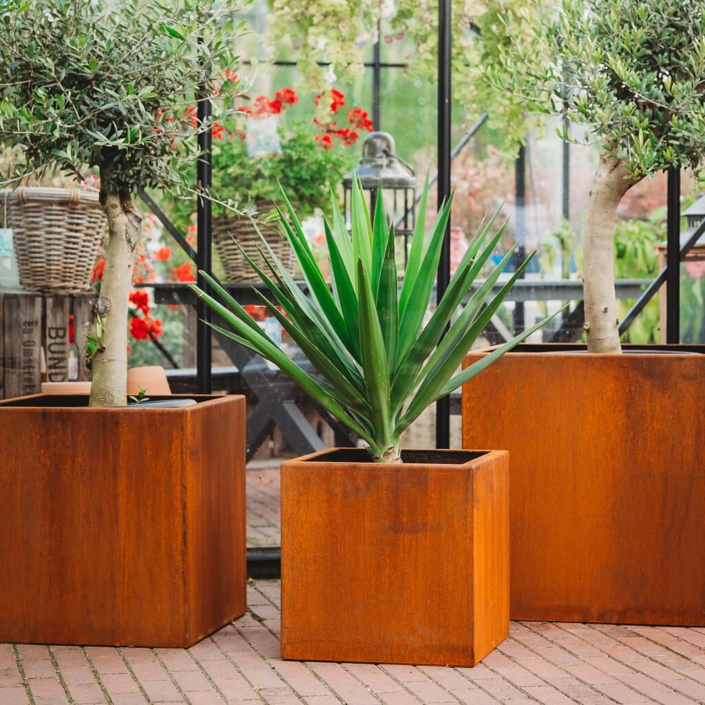 Why You Should Always Choose Authentic Corten from Iron Man